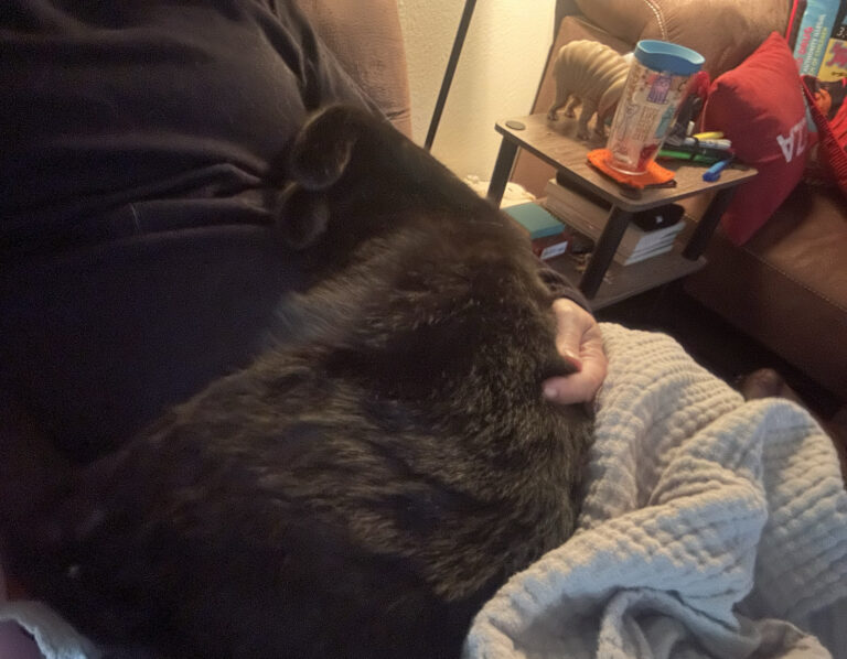 Where is His Head??