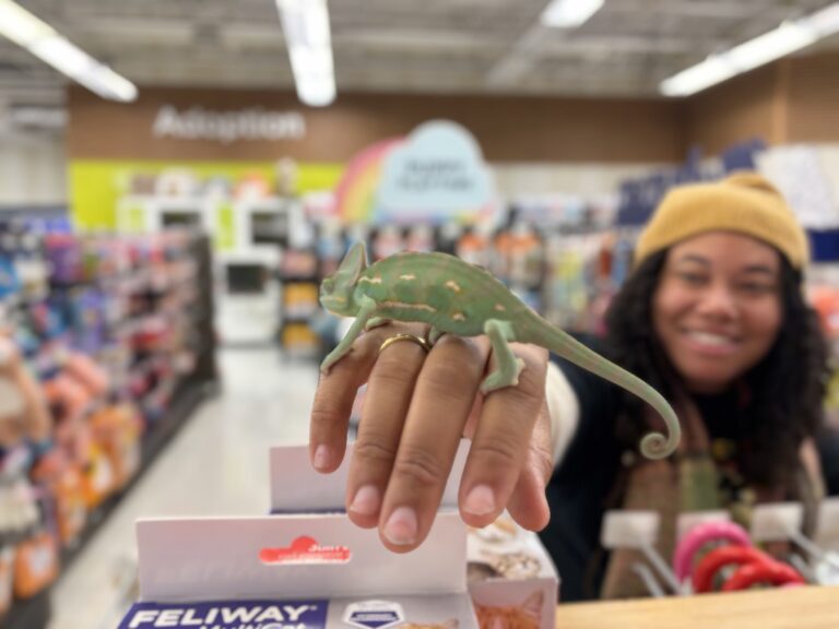 Chameleonaire￼