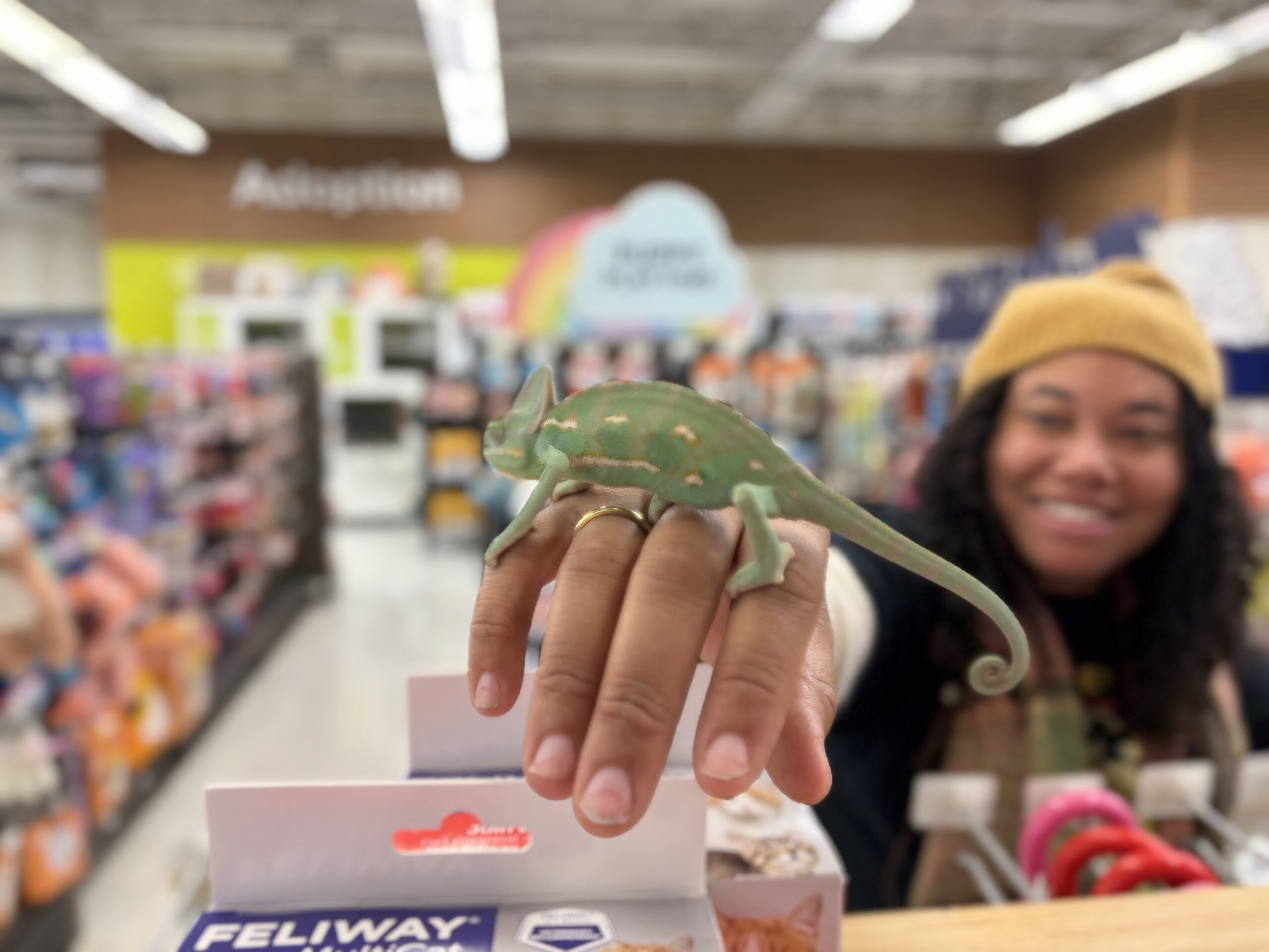 Chameleonaire￼