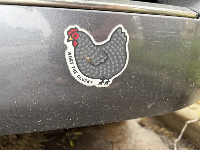 What the Cluck?