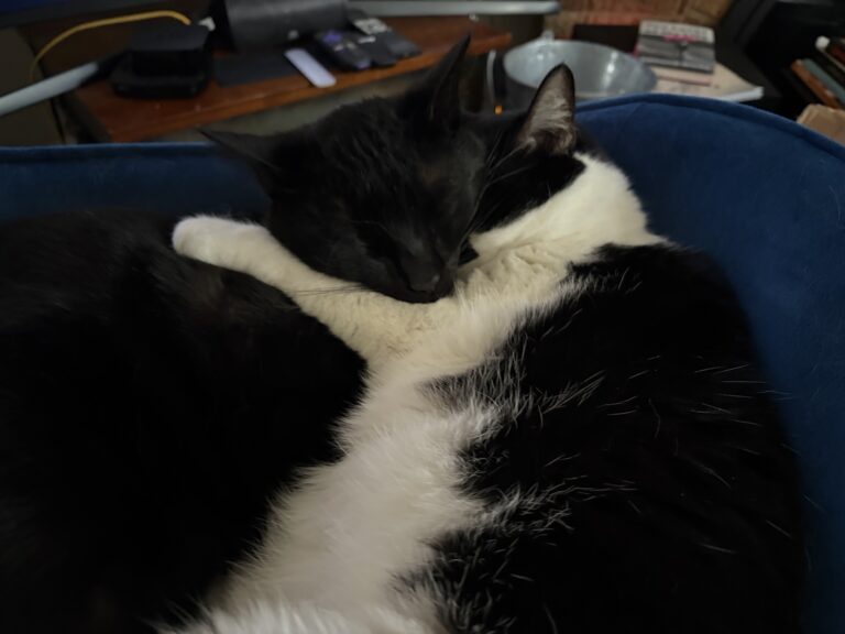 Snuggling