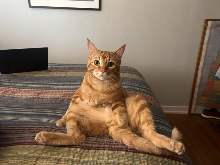 Not Staged