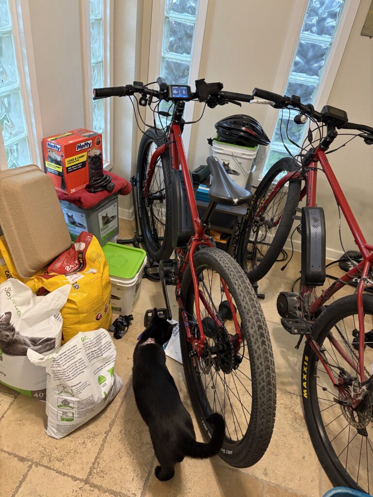 Bike Is Back