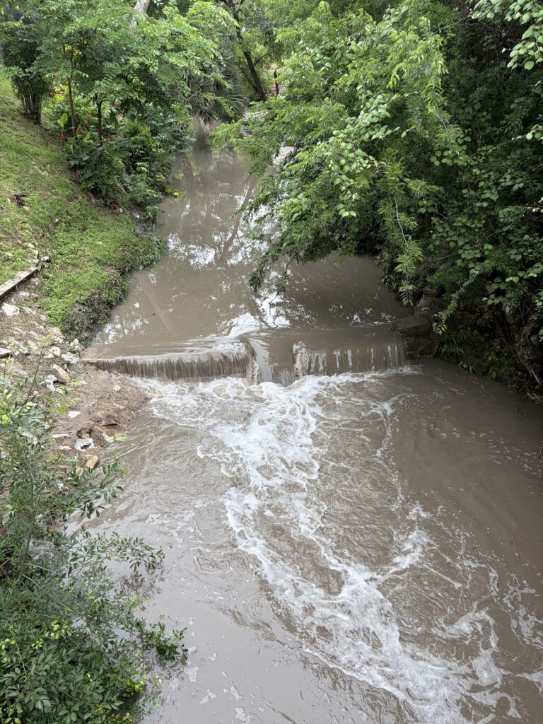 Stinky City Water