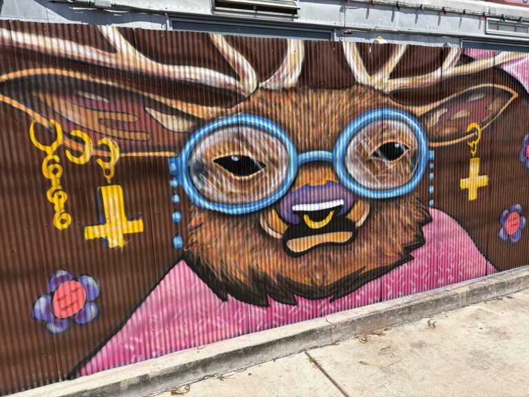 Deer with Glasses