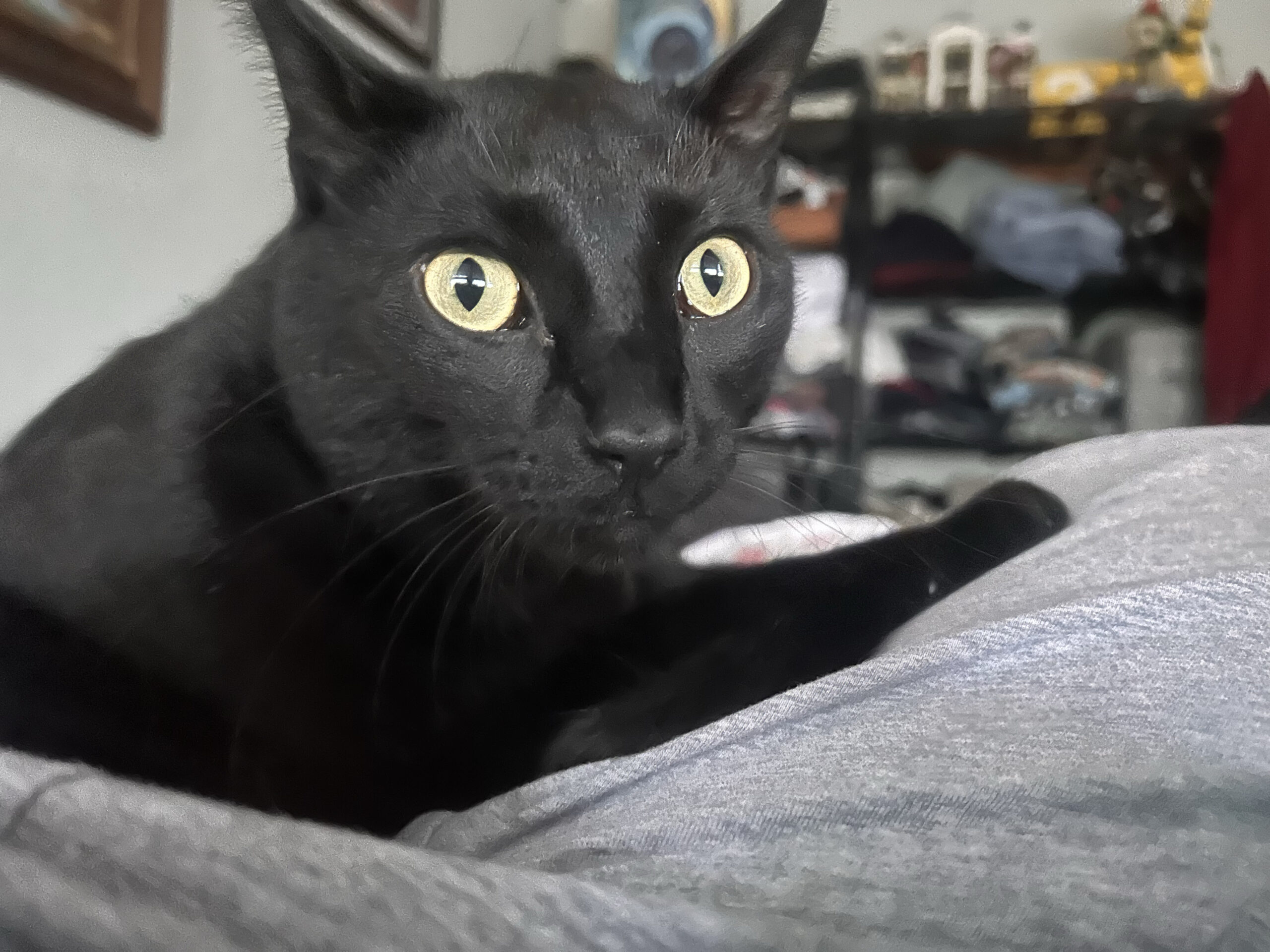Big Eyes