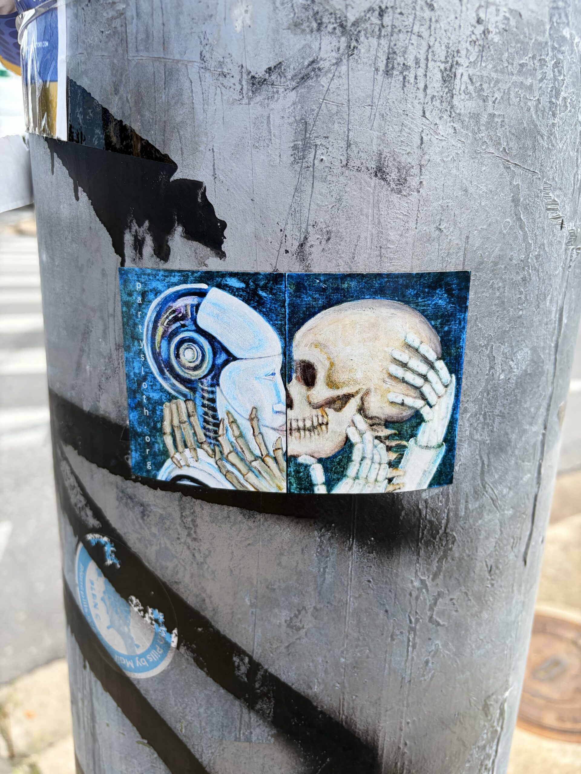 Skulls
