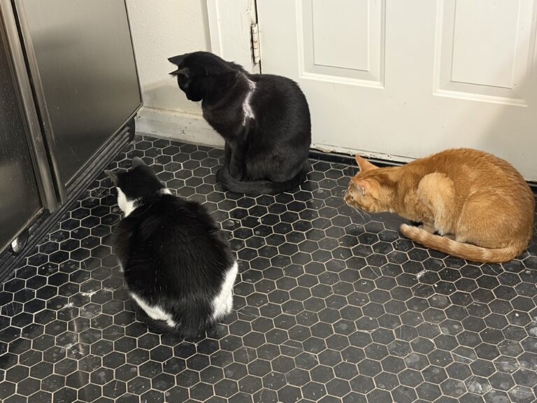What’s Down There?