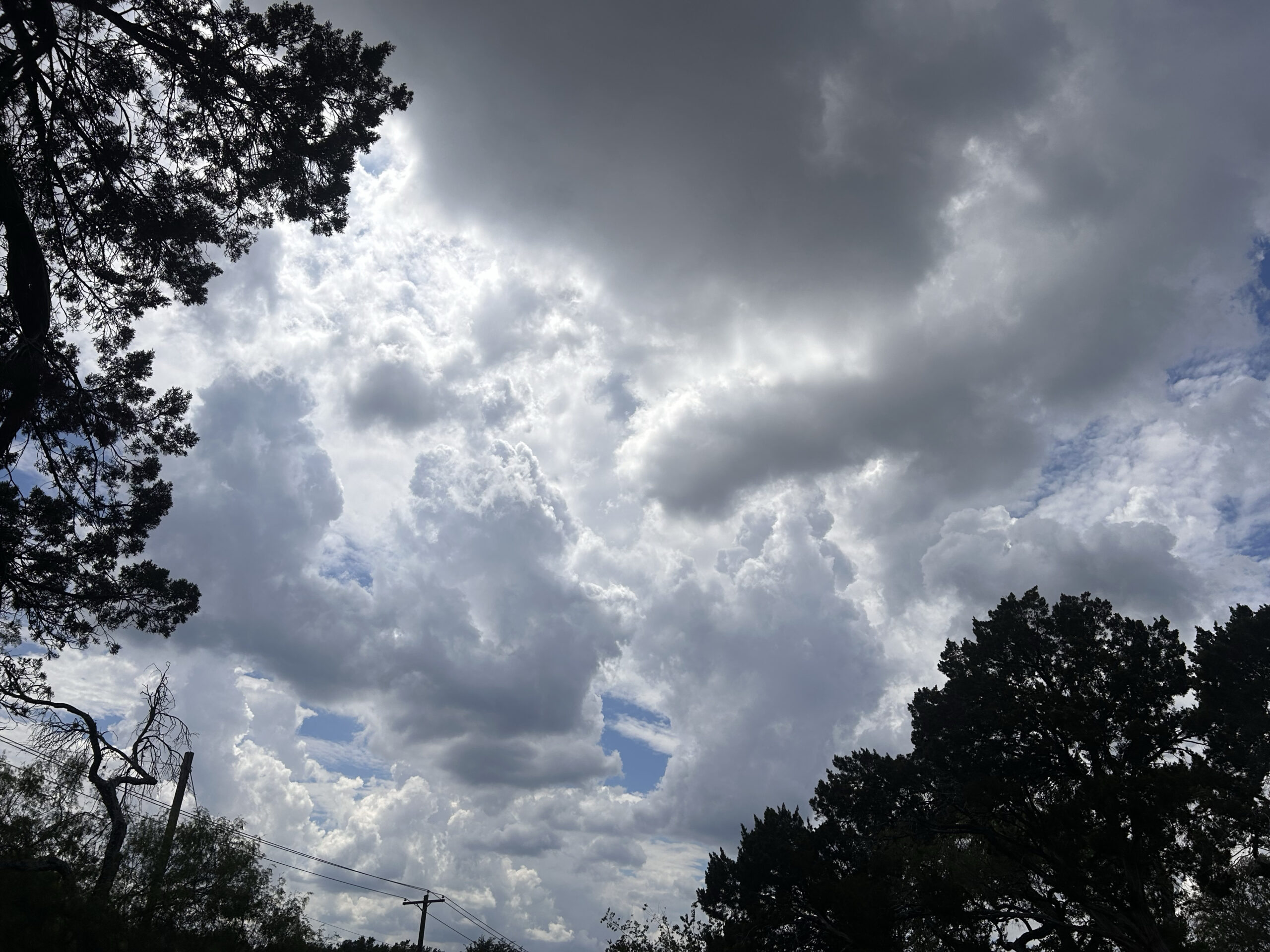 Clouds at the Park