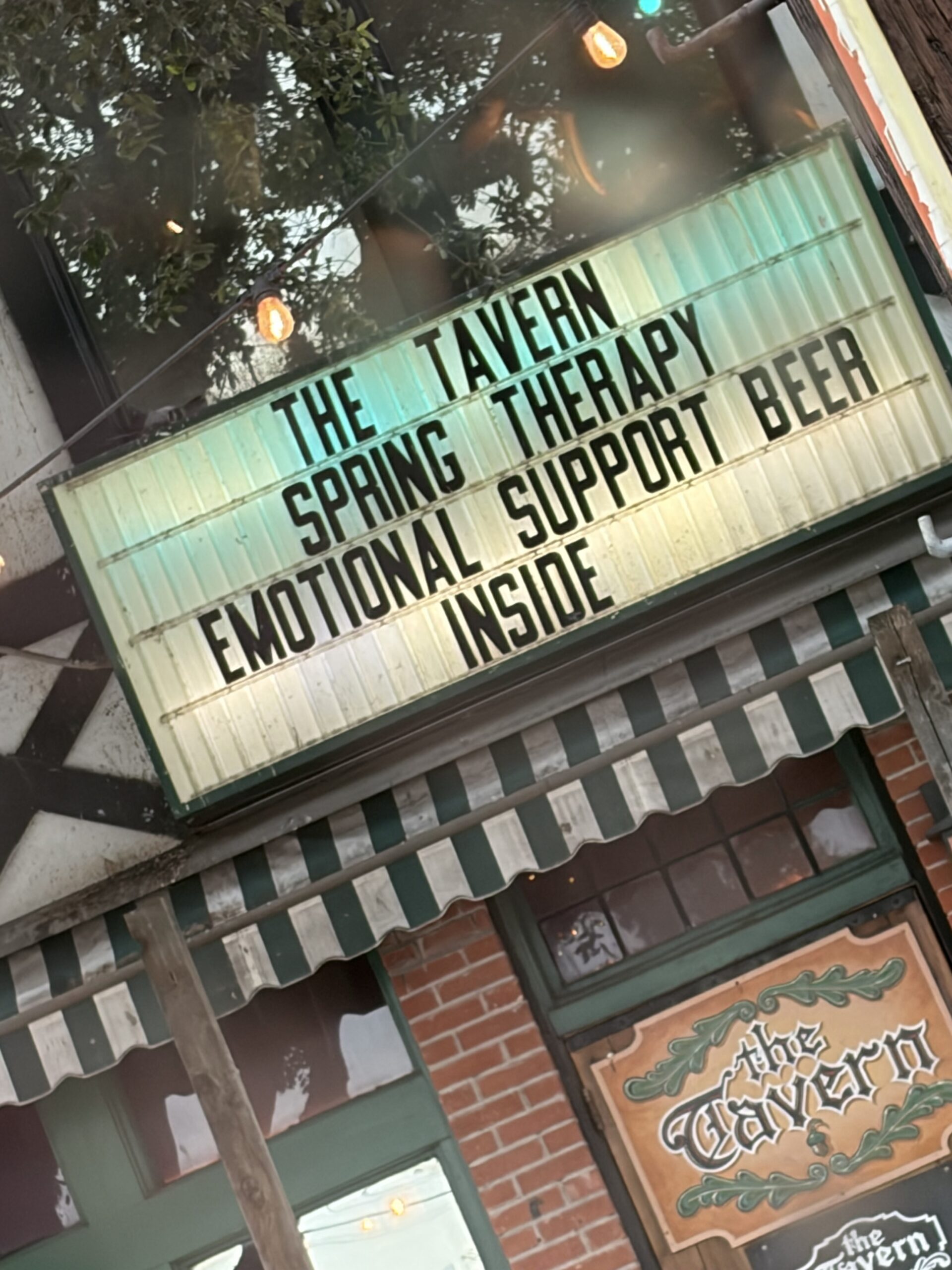 Cheaper than Therapy