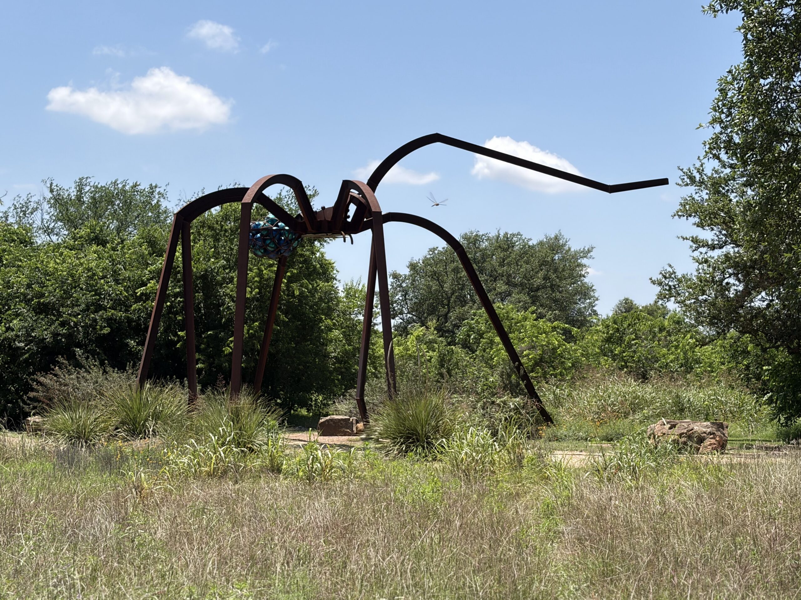 Park Spider