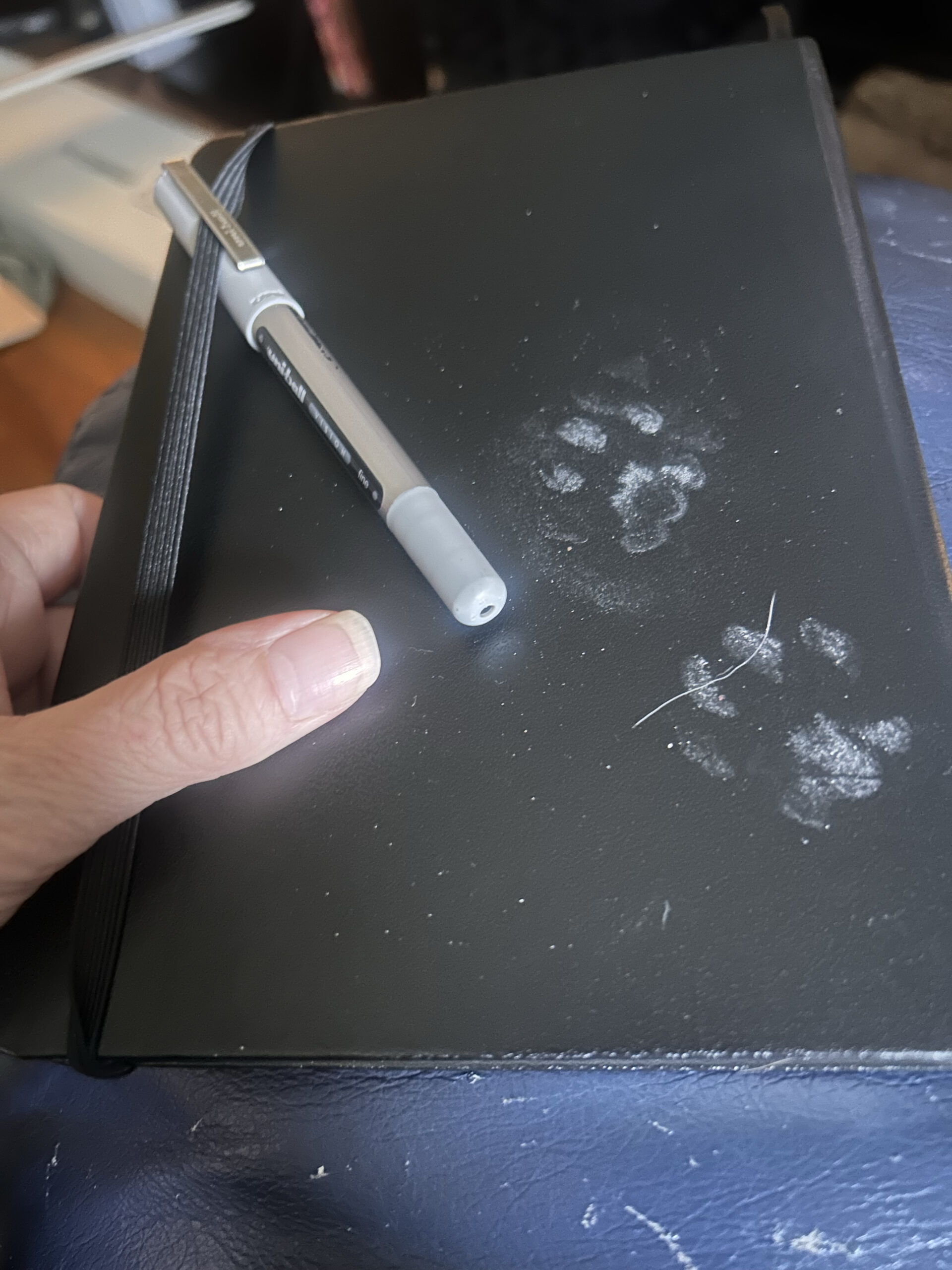 Paws