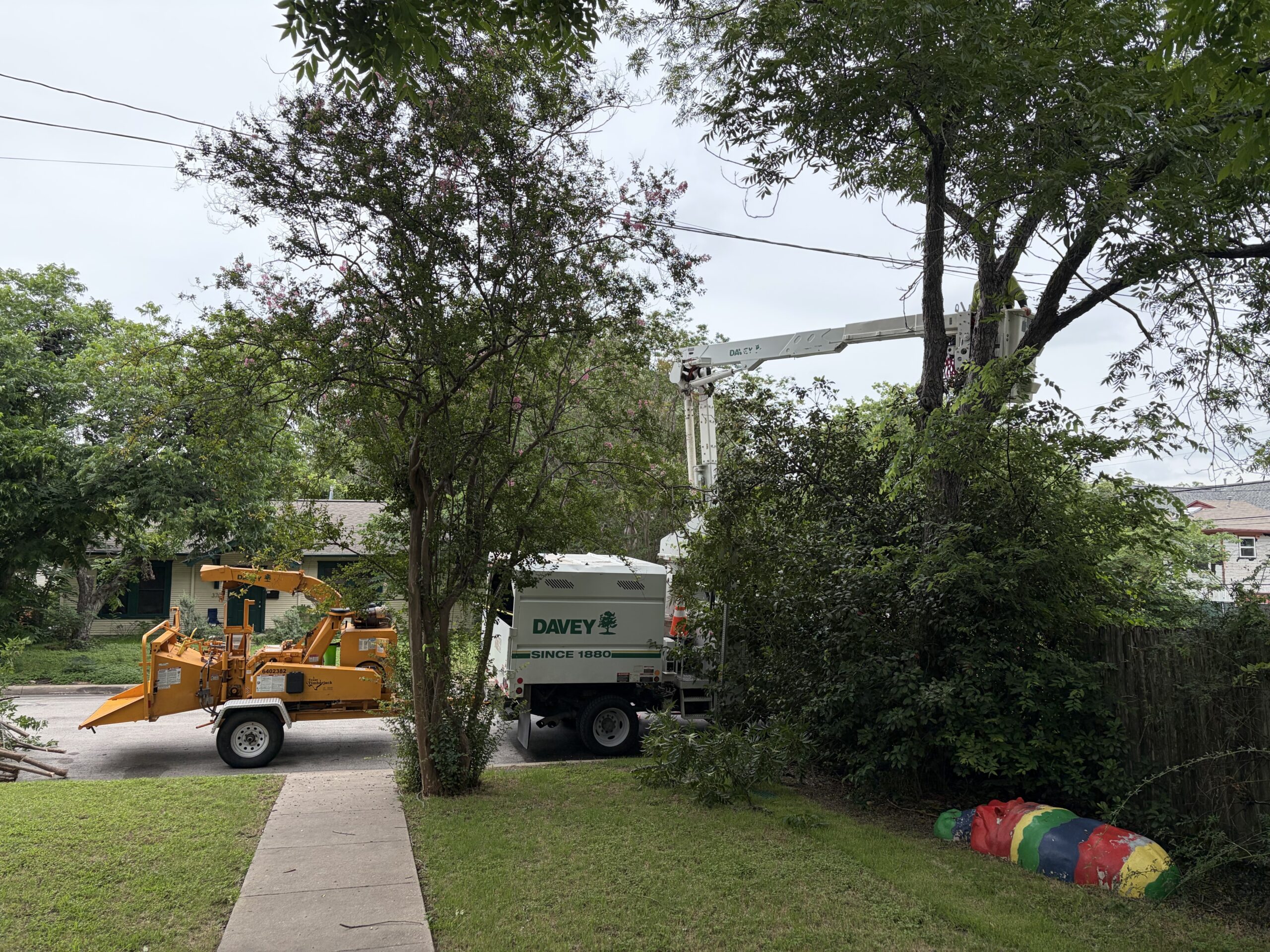 Bucket Truck