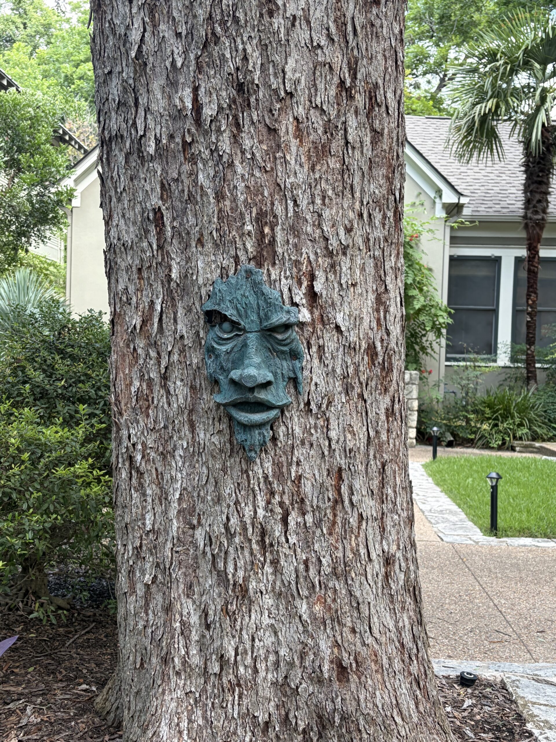 Tree Face
