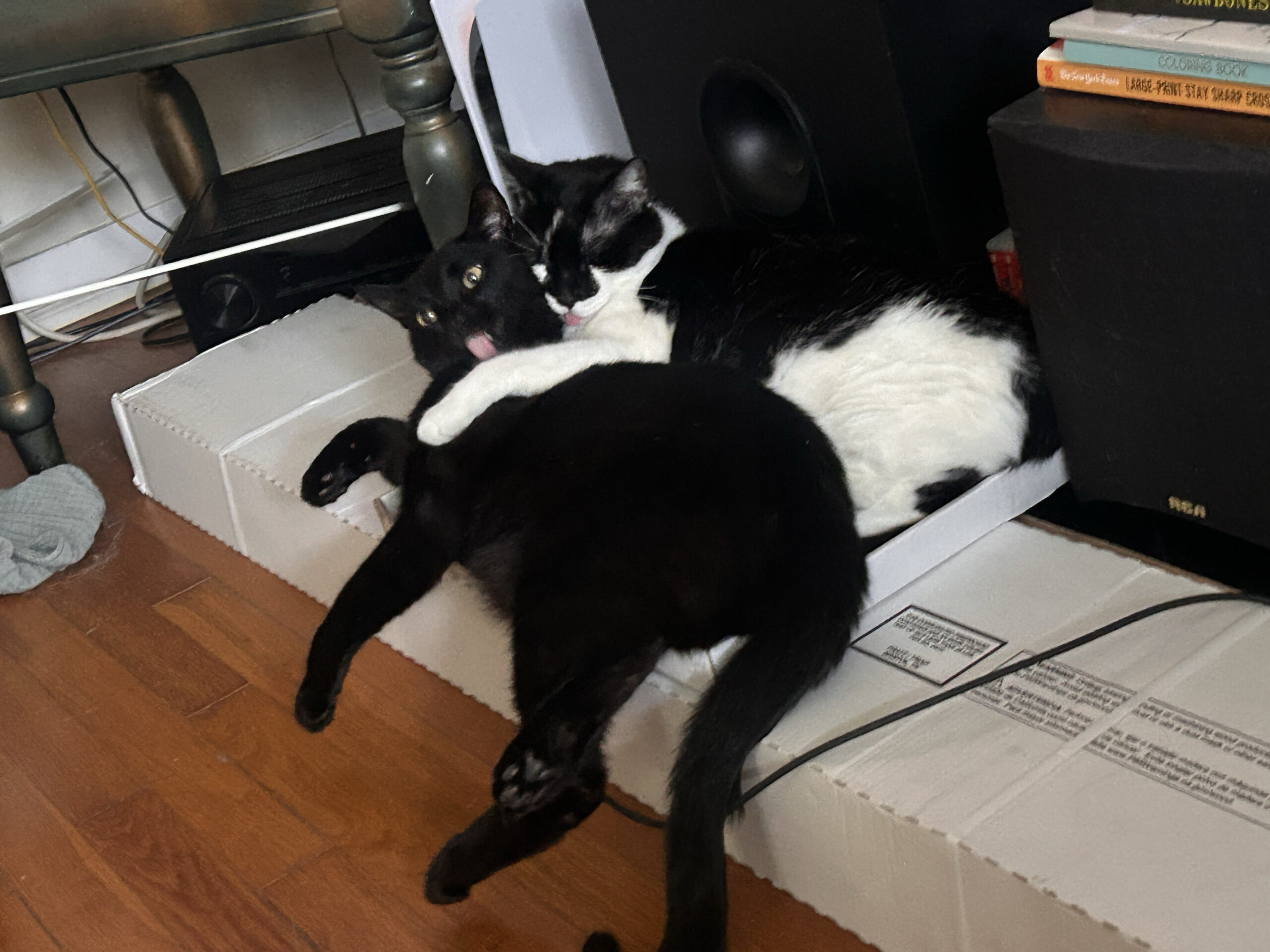 Mega Licks