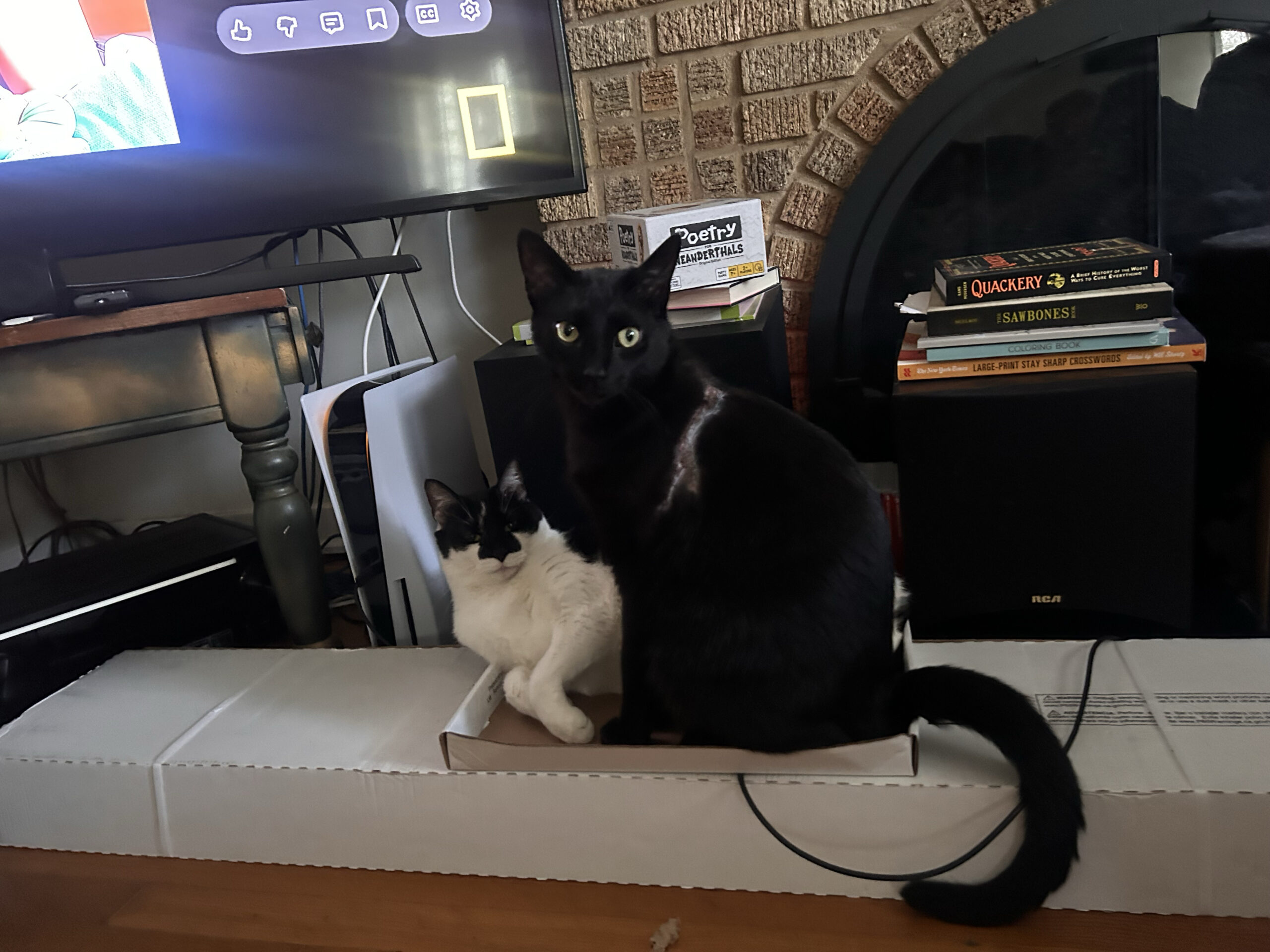 Nothing To See Here