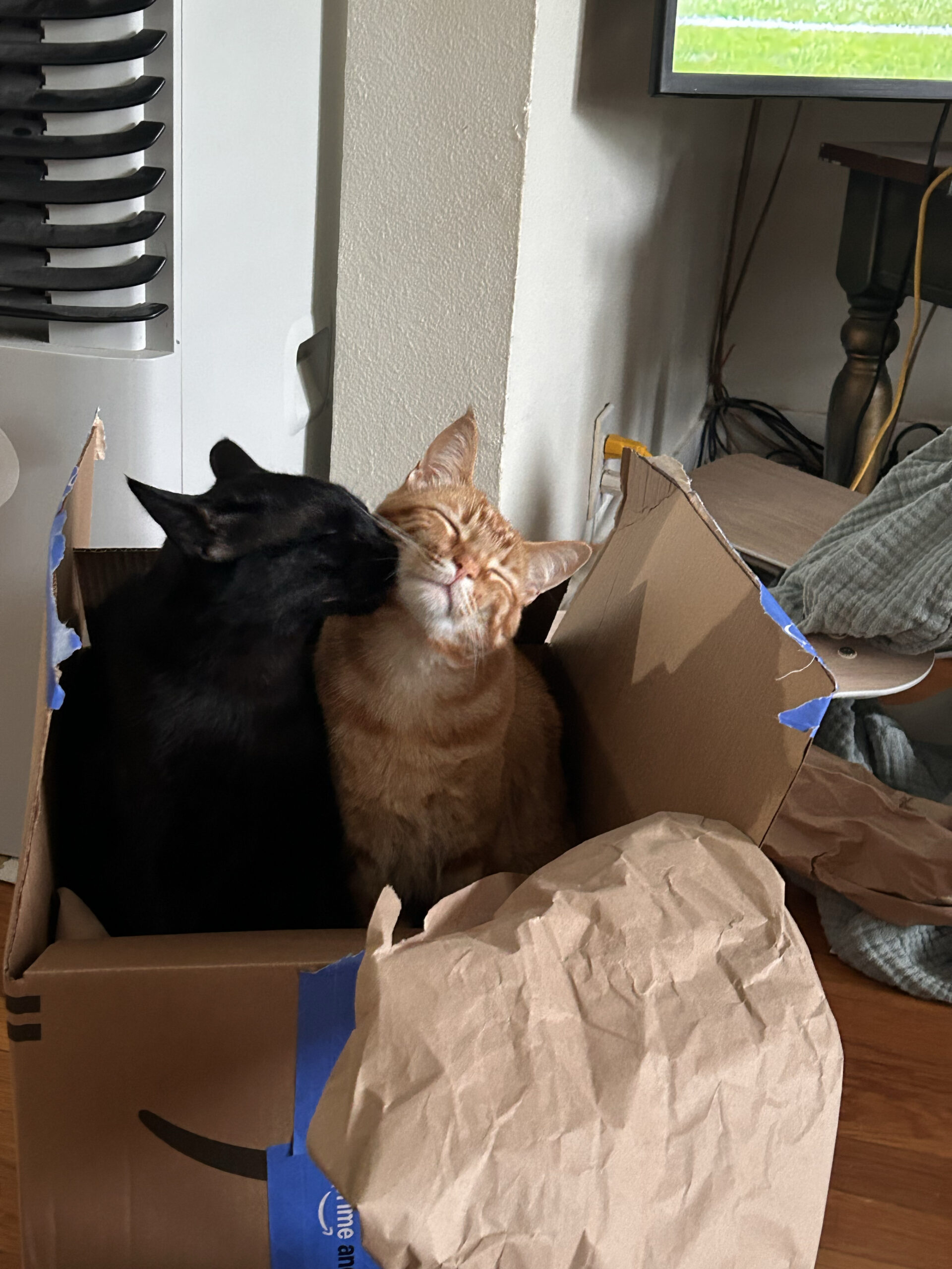 Brothers