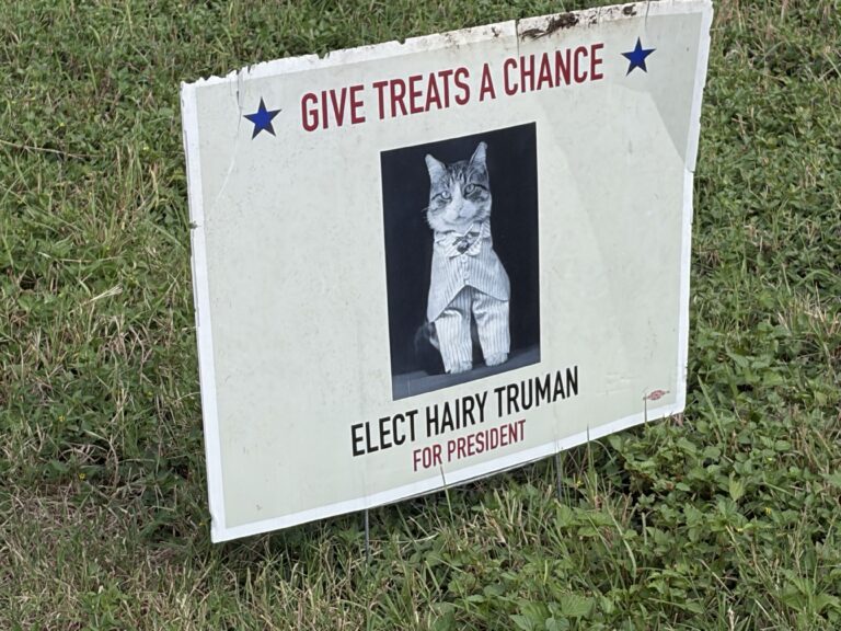 Give Treats a Chance