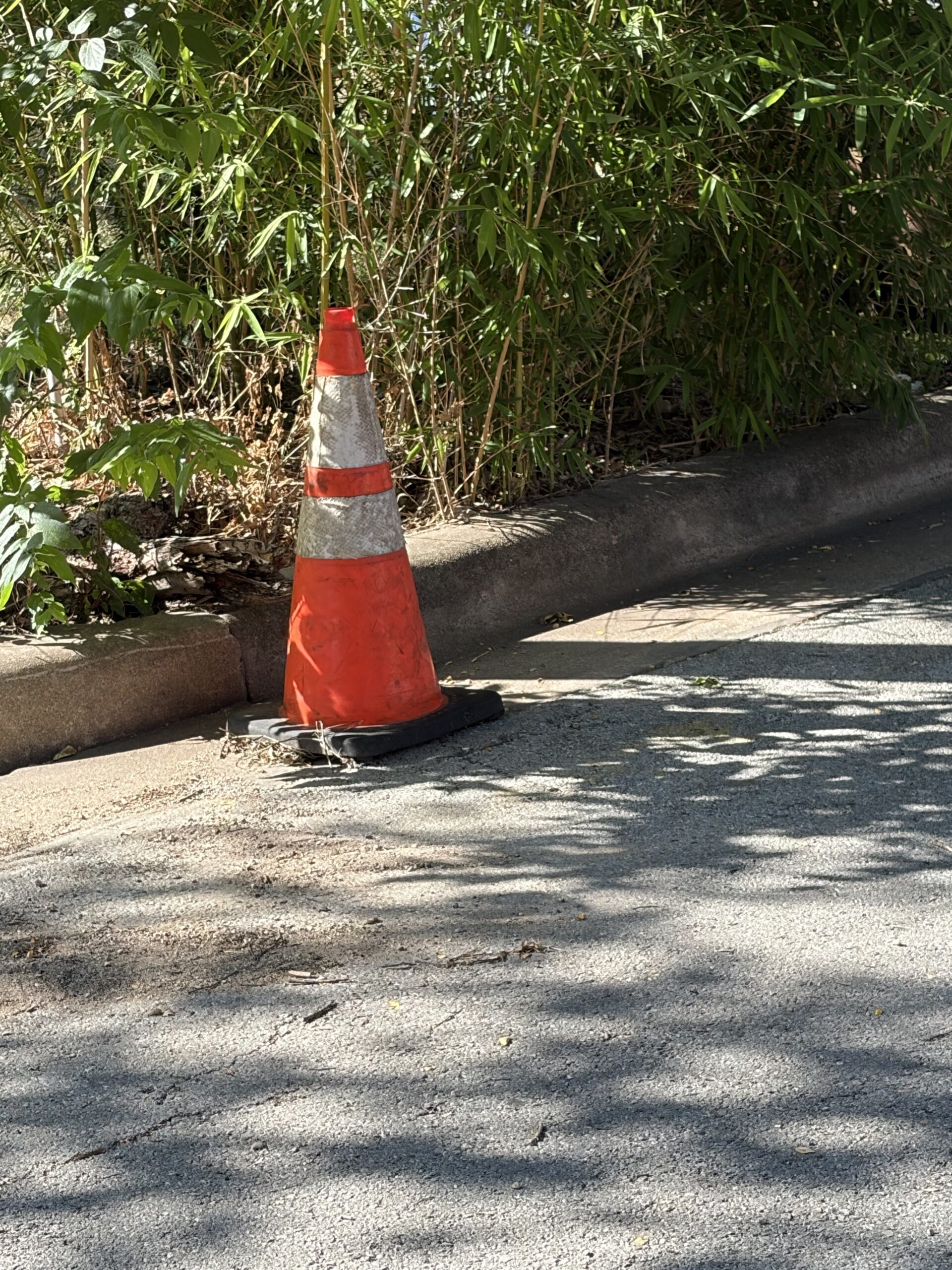 Lost Cone