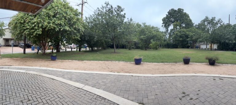 Swampy Park