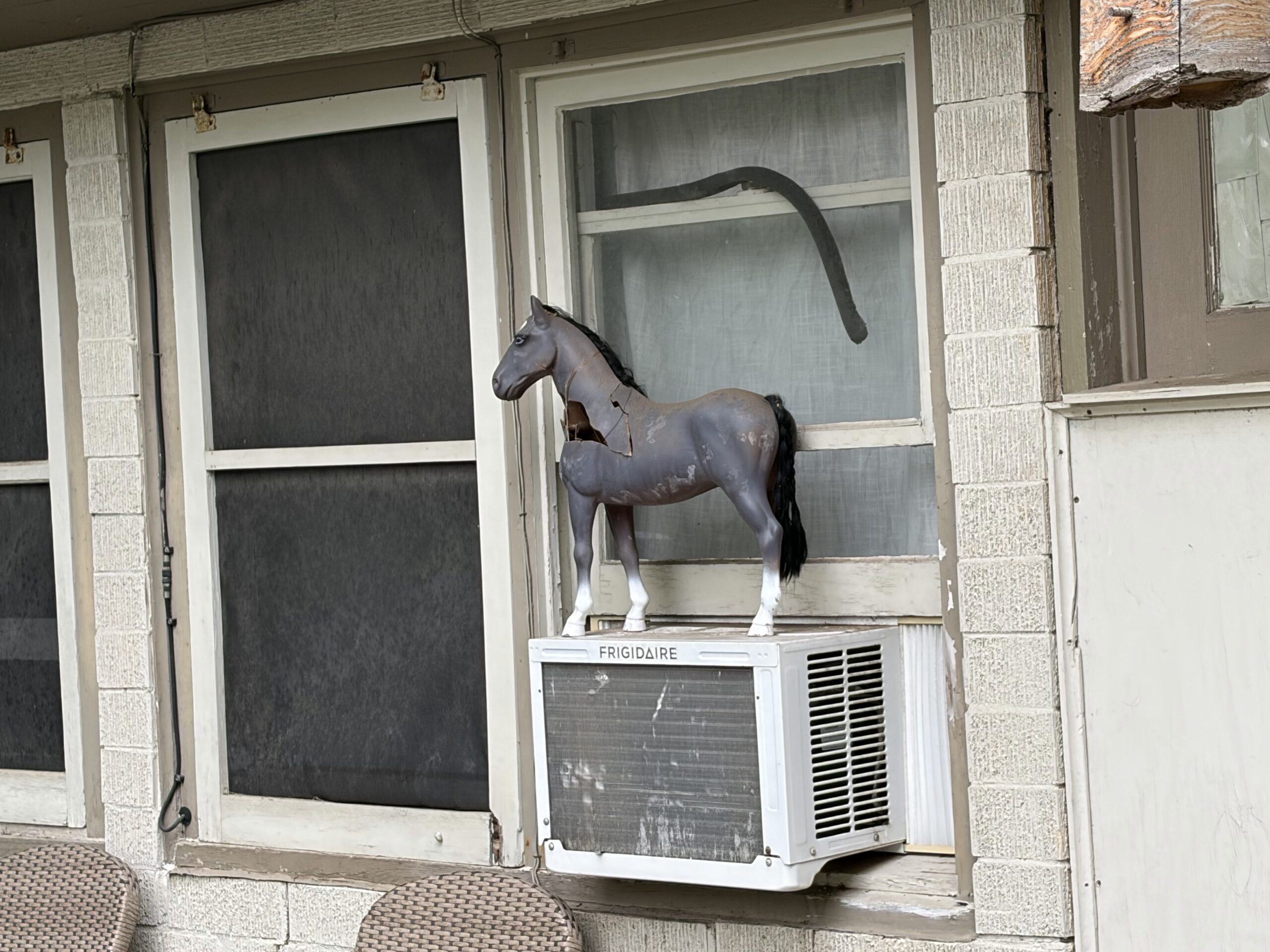 Broken Horse