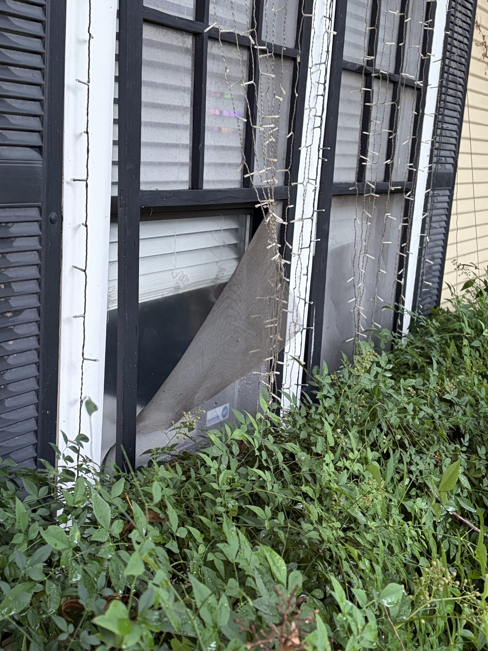 Storm Damage