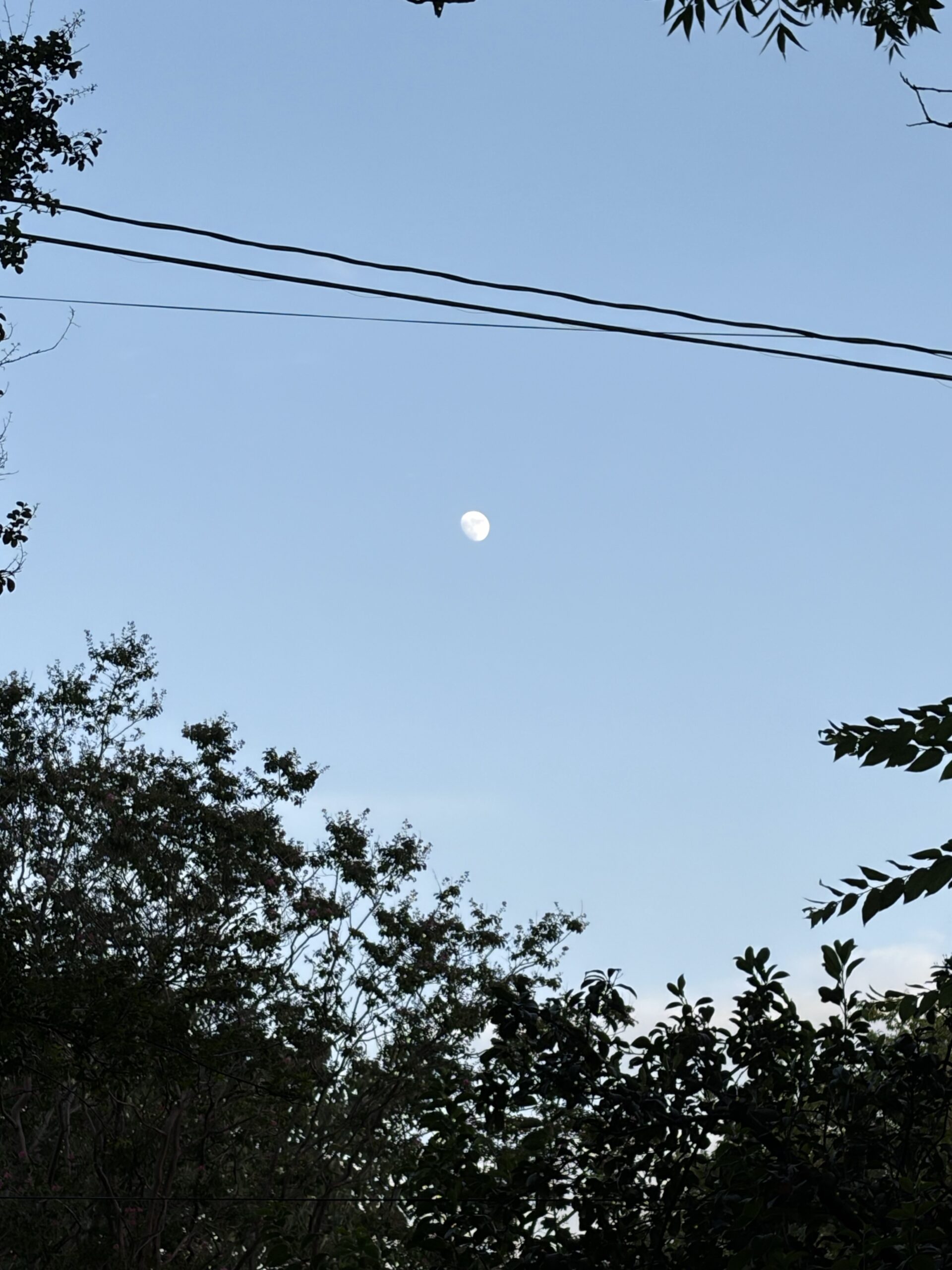Summer Moon