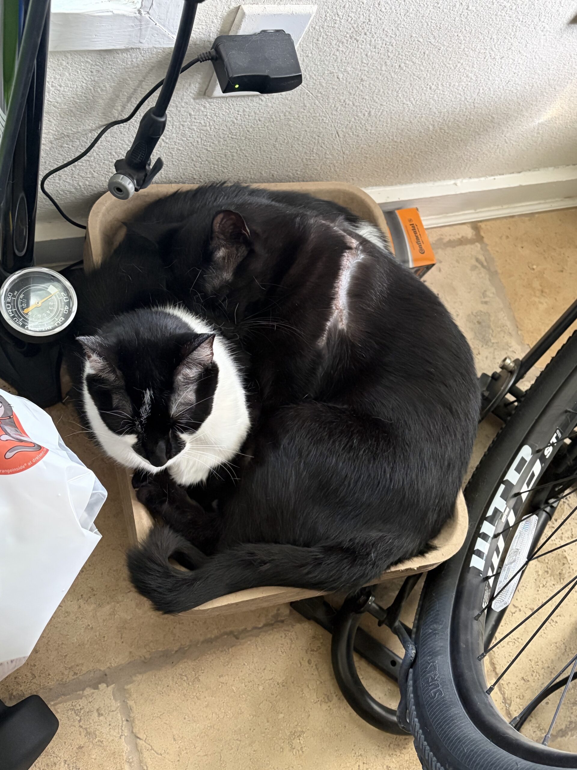 Packed In