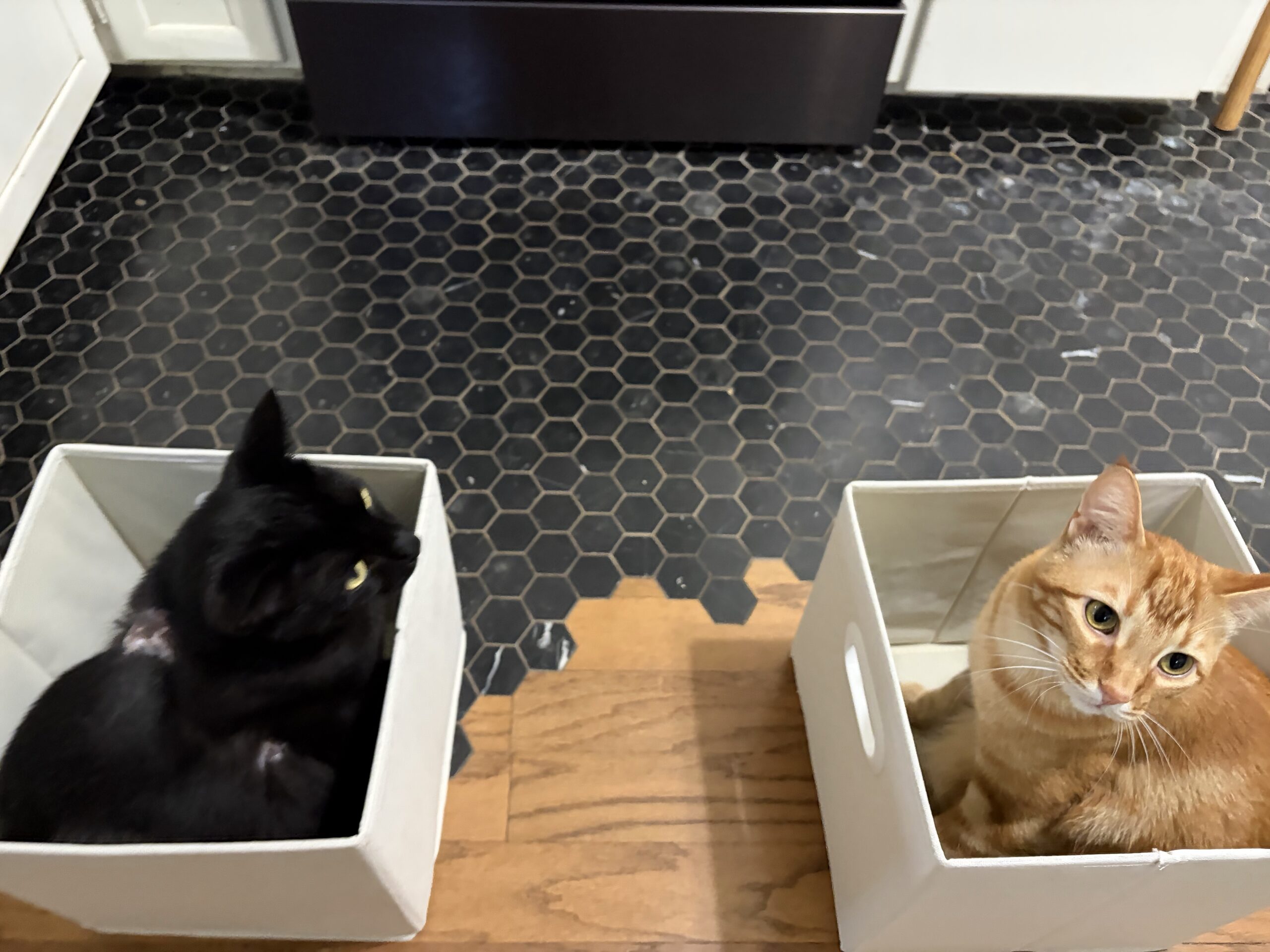 Boxes