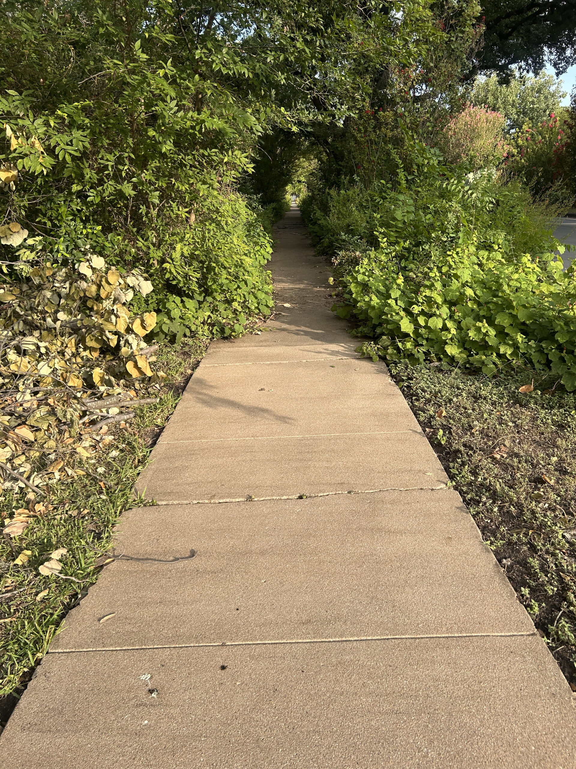 Sidewalk Coverage