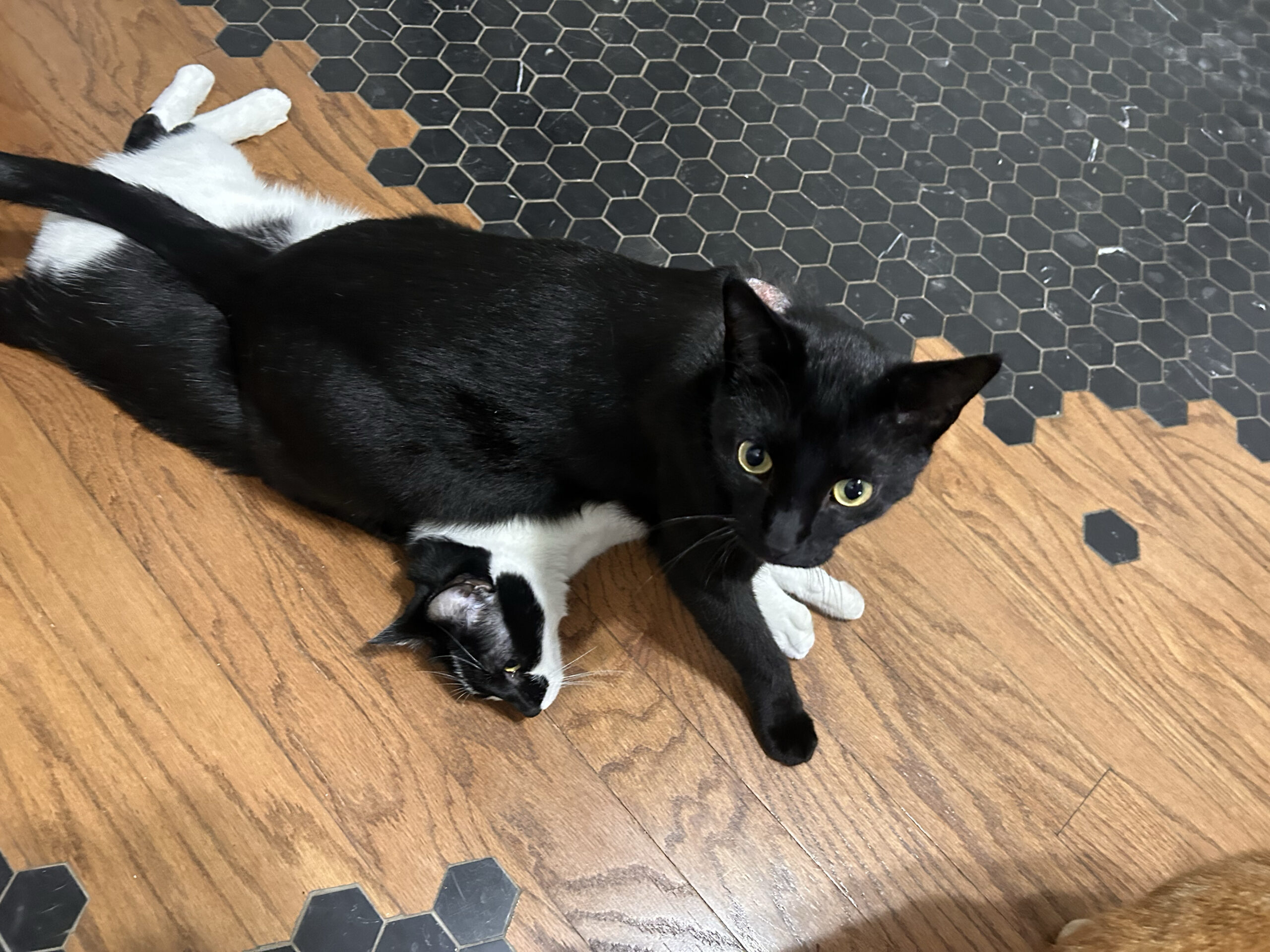 I Sit Here