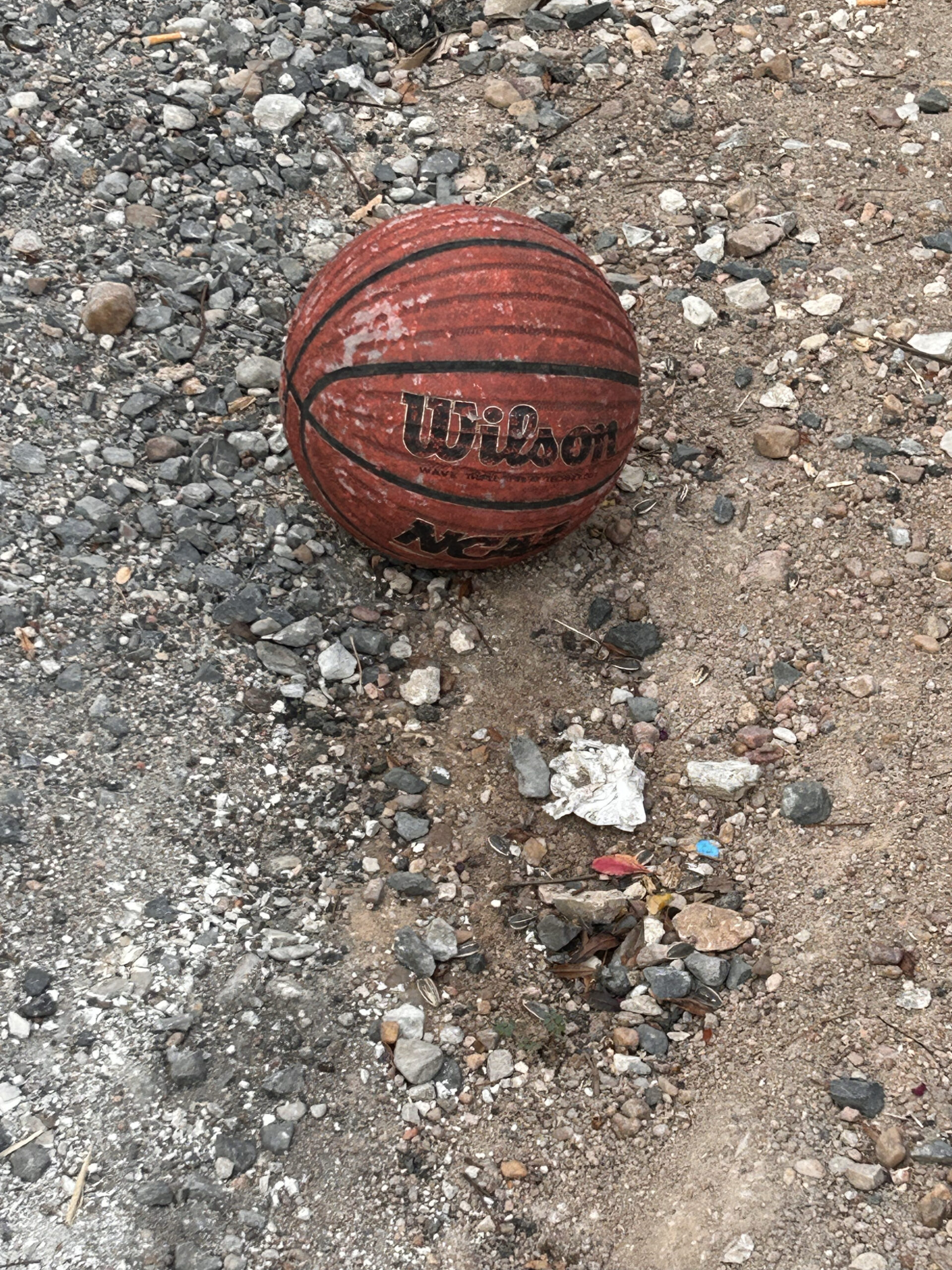 Wilson