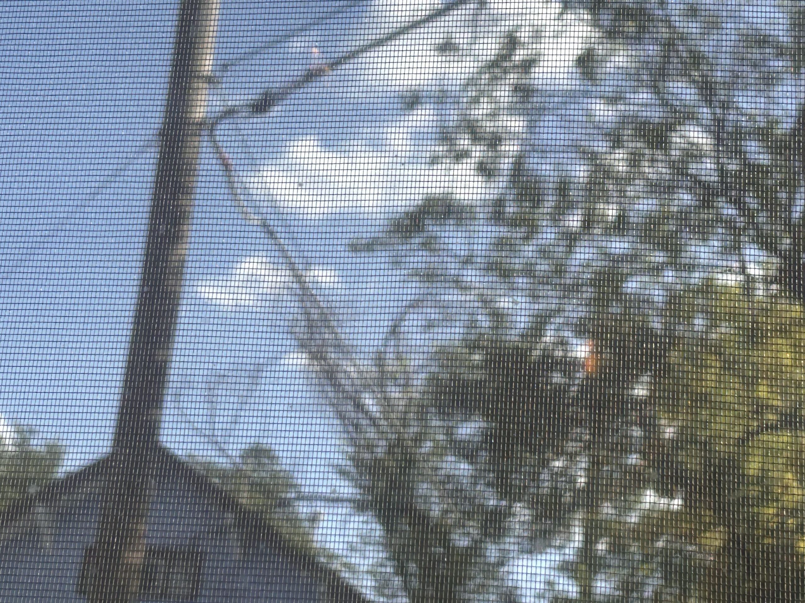 Fuzzy screen pic