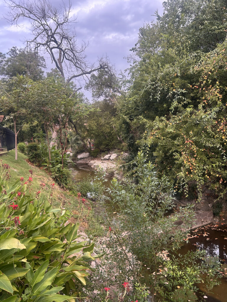 Post Rain Walk