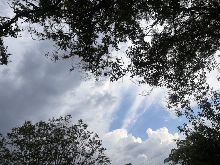 Look Up