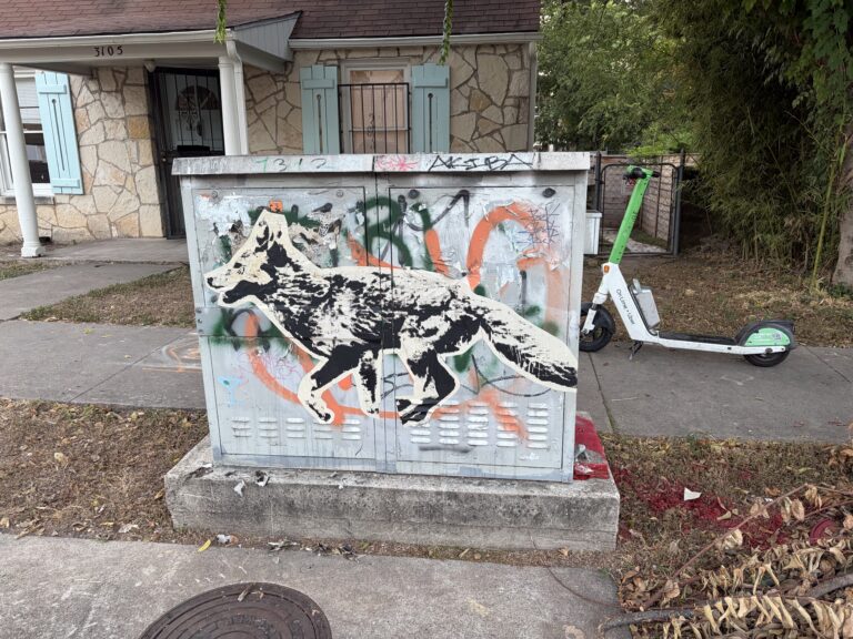 Fox Art