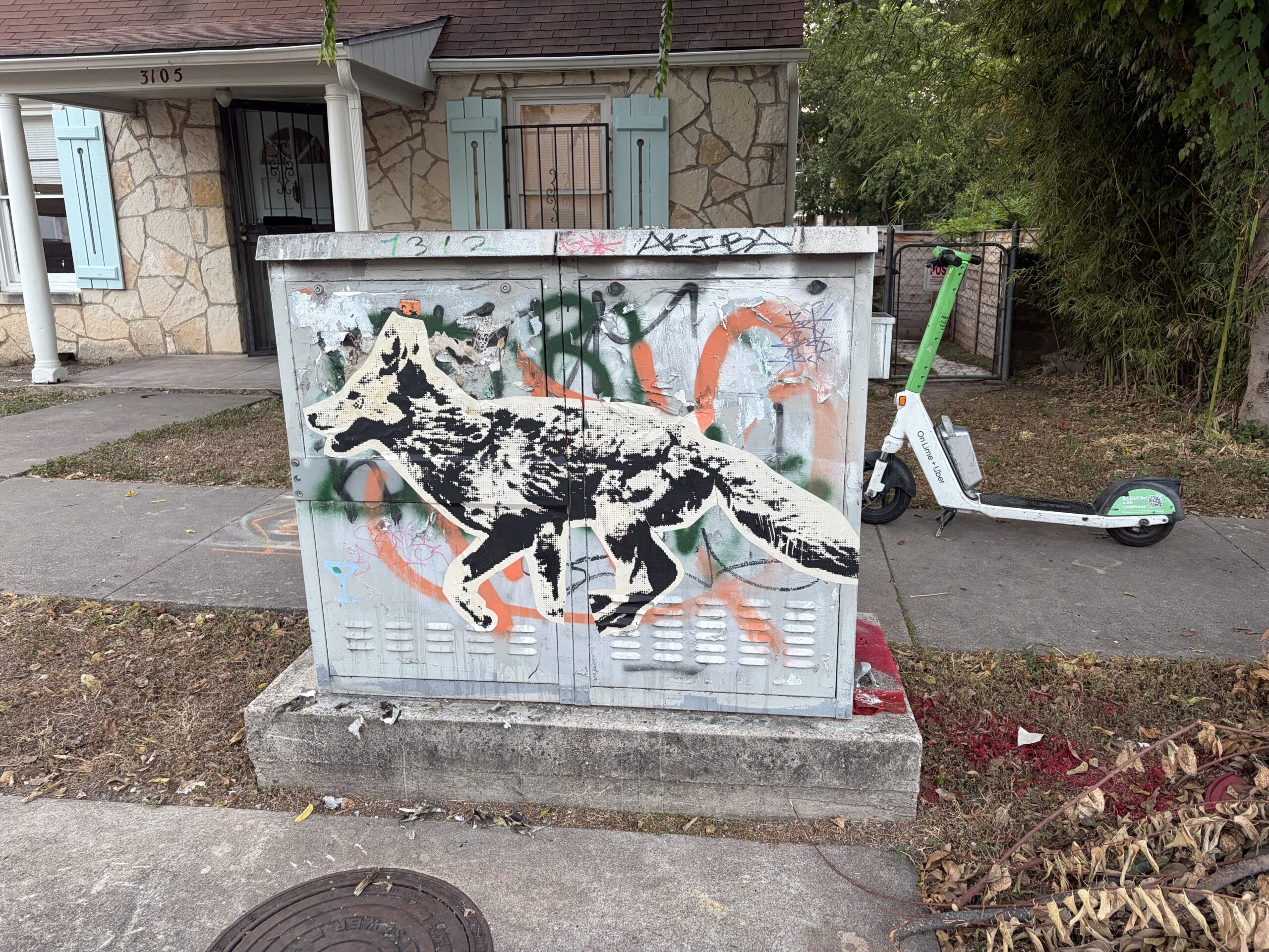 Fox Art