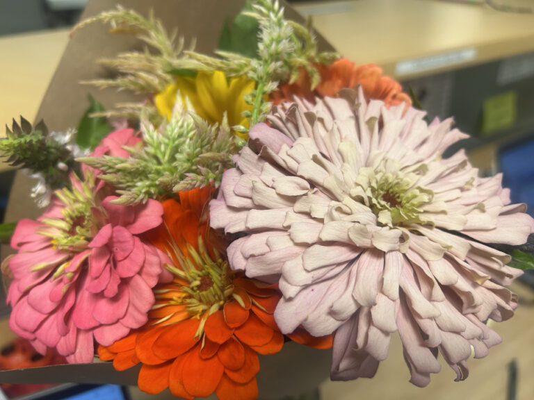 Flowers