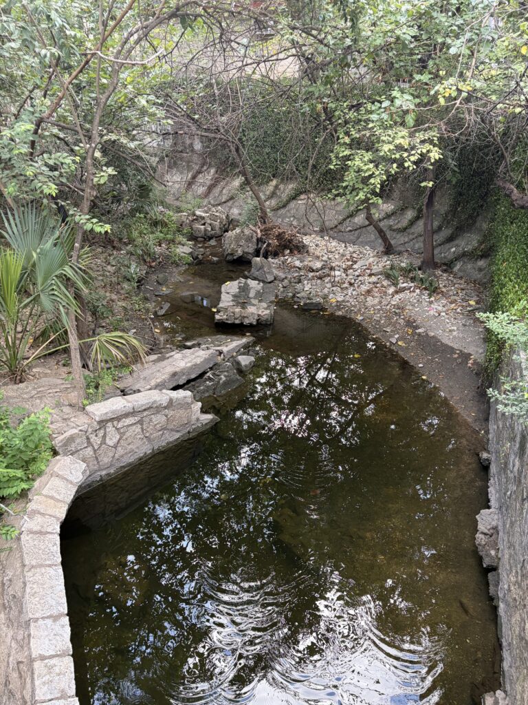 Urban Creek