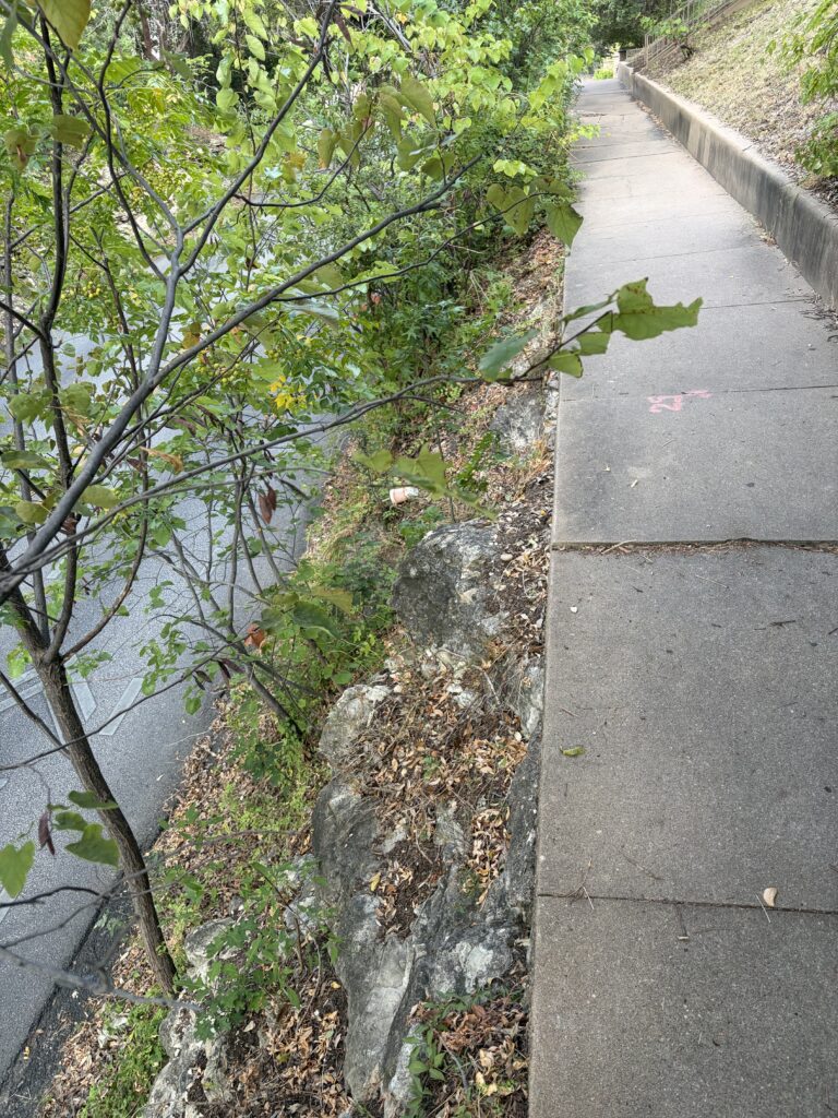 Sidewalk Cliff