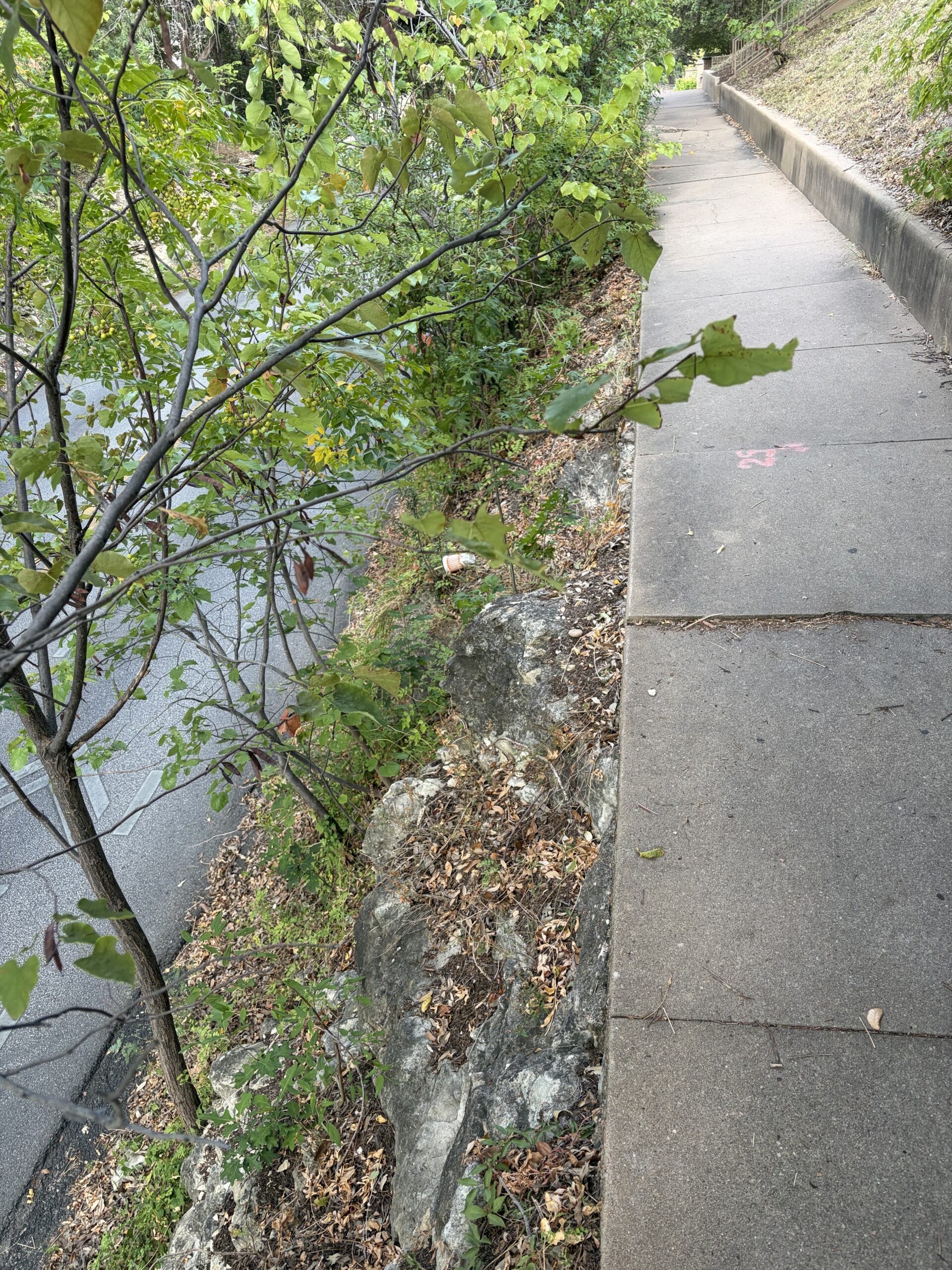 Sidewalk Cliff