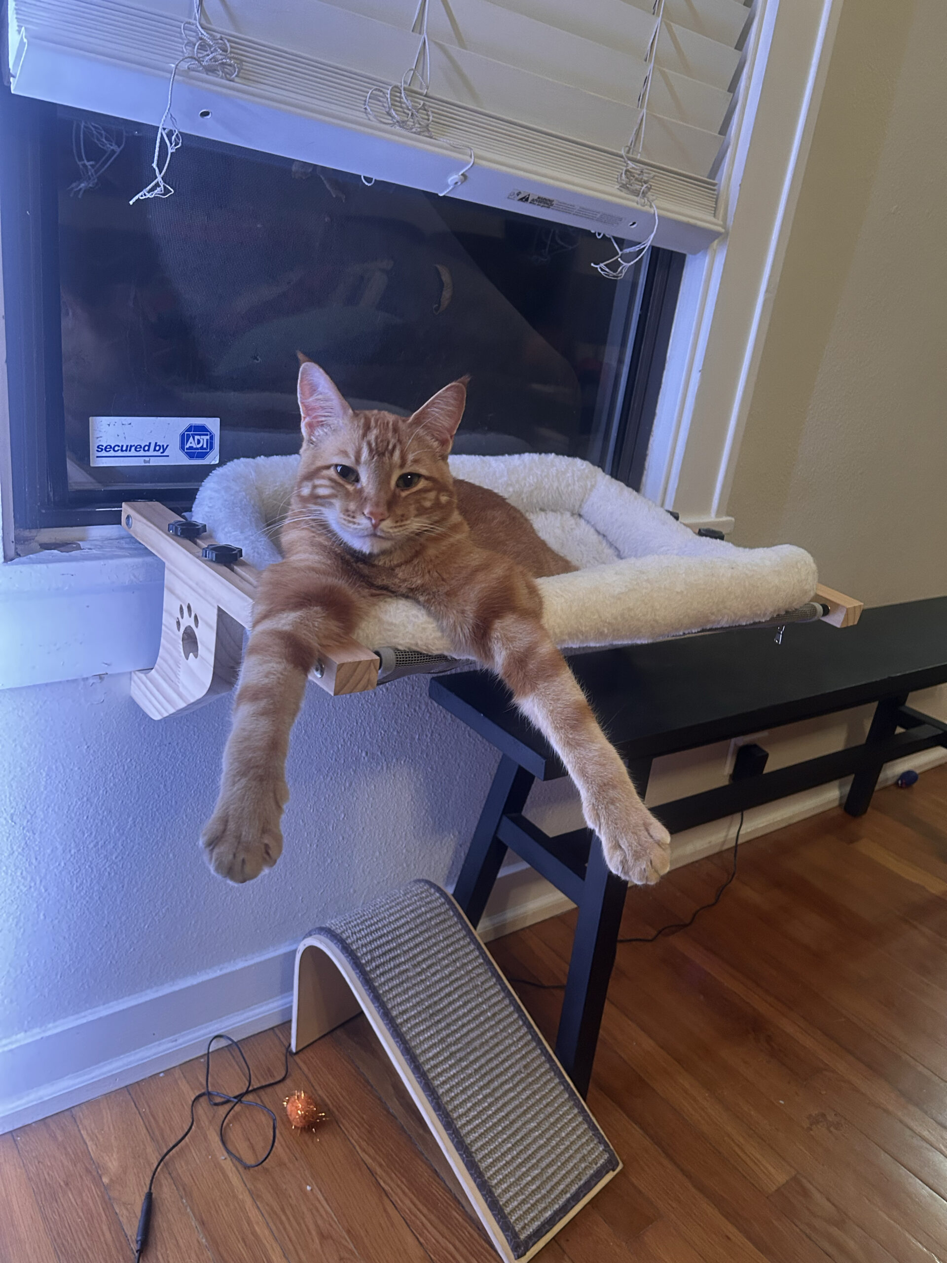 Max Relax