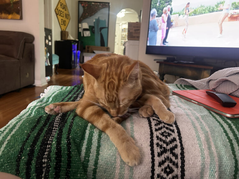 4 Orange Legs