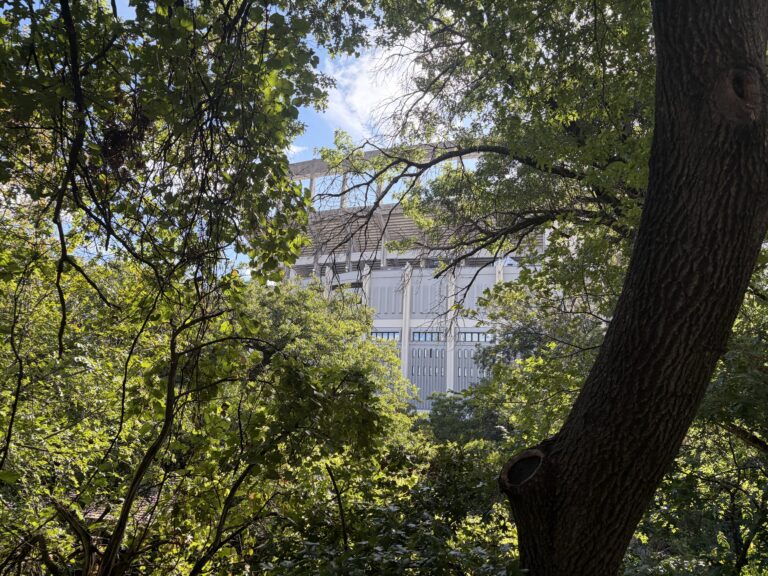 Stadium Through the Woods