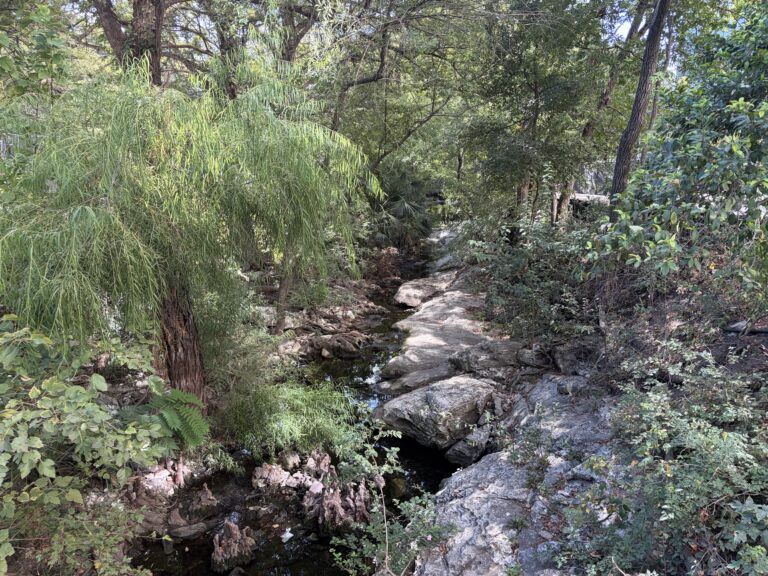 Waller Creek