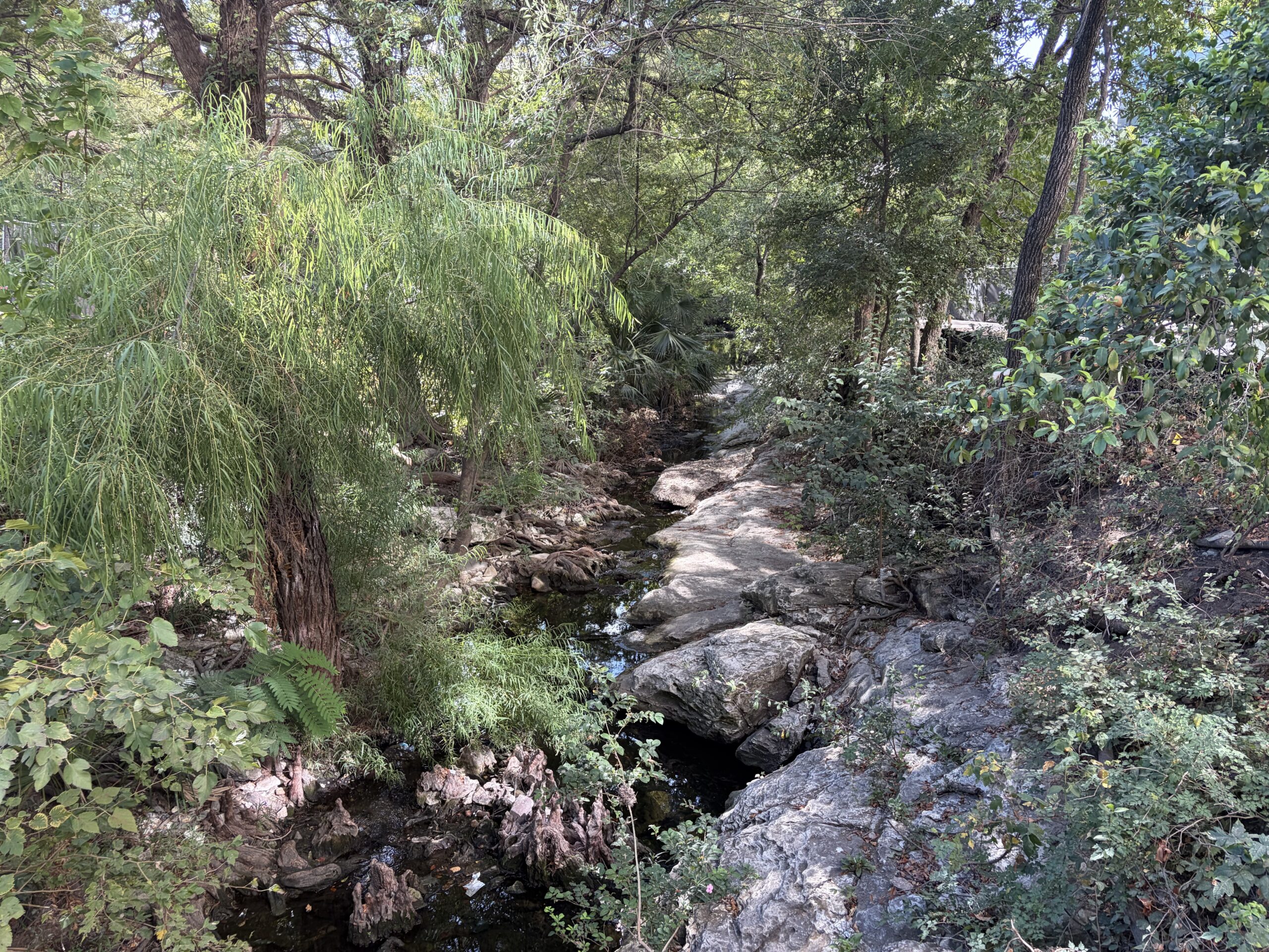 Waller Creek