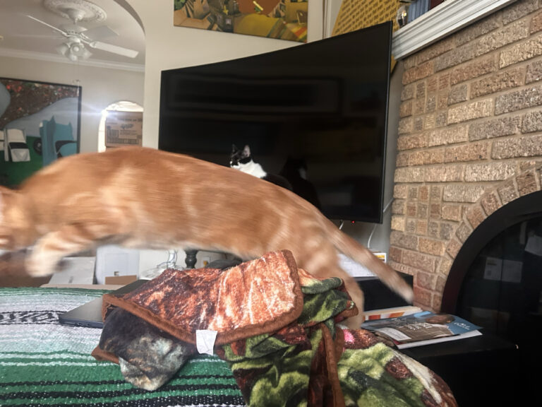 Orange In Action