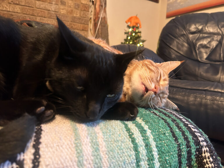 That’s Sleepy