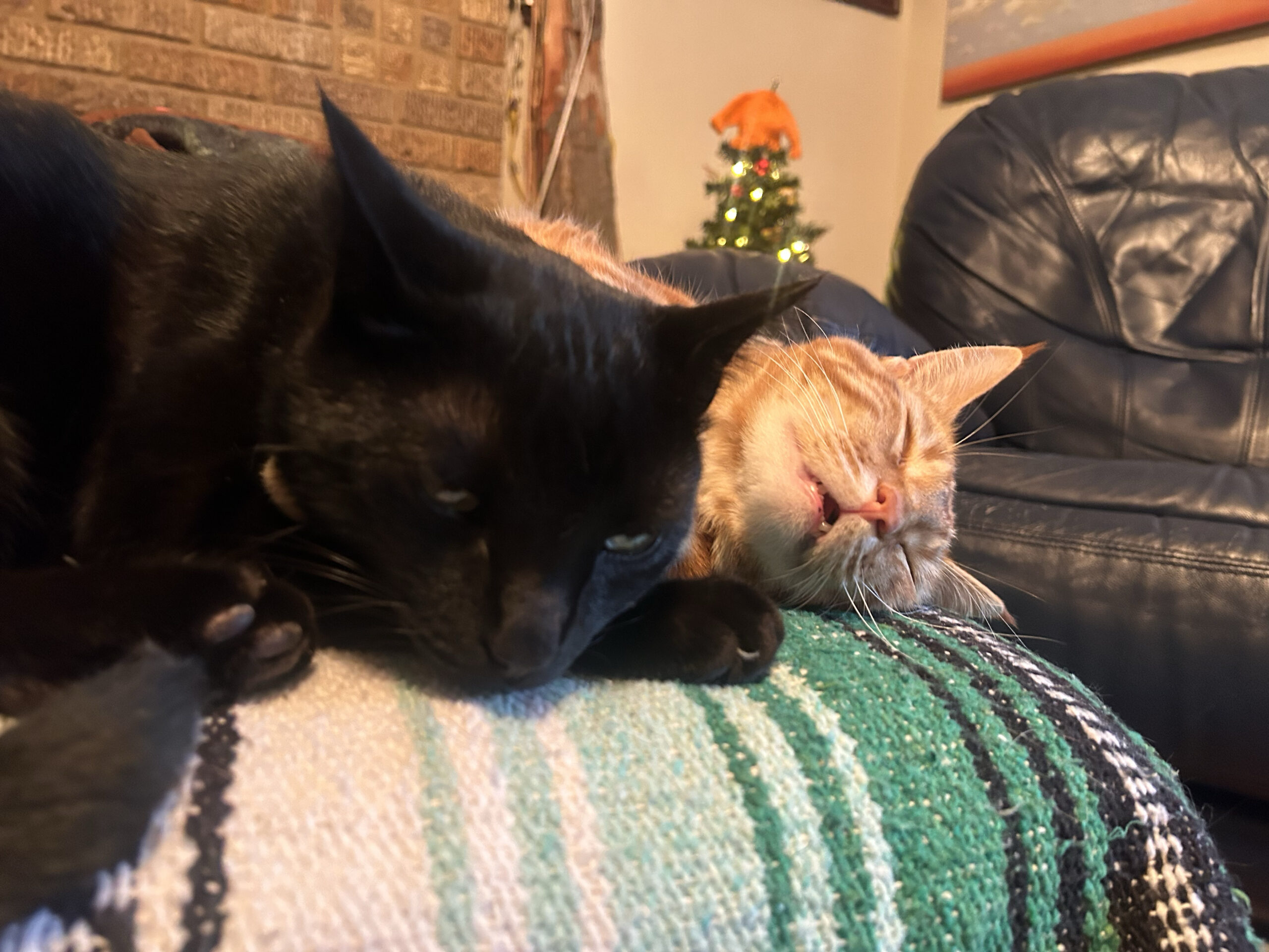 That’s Sleepy