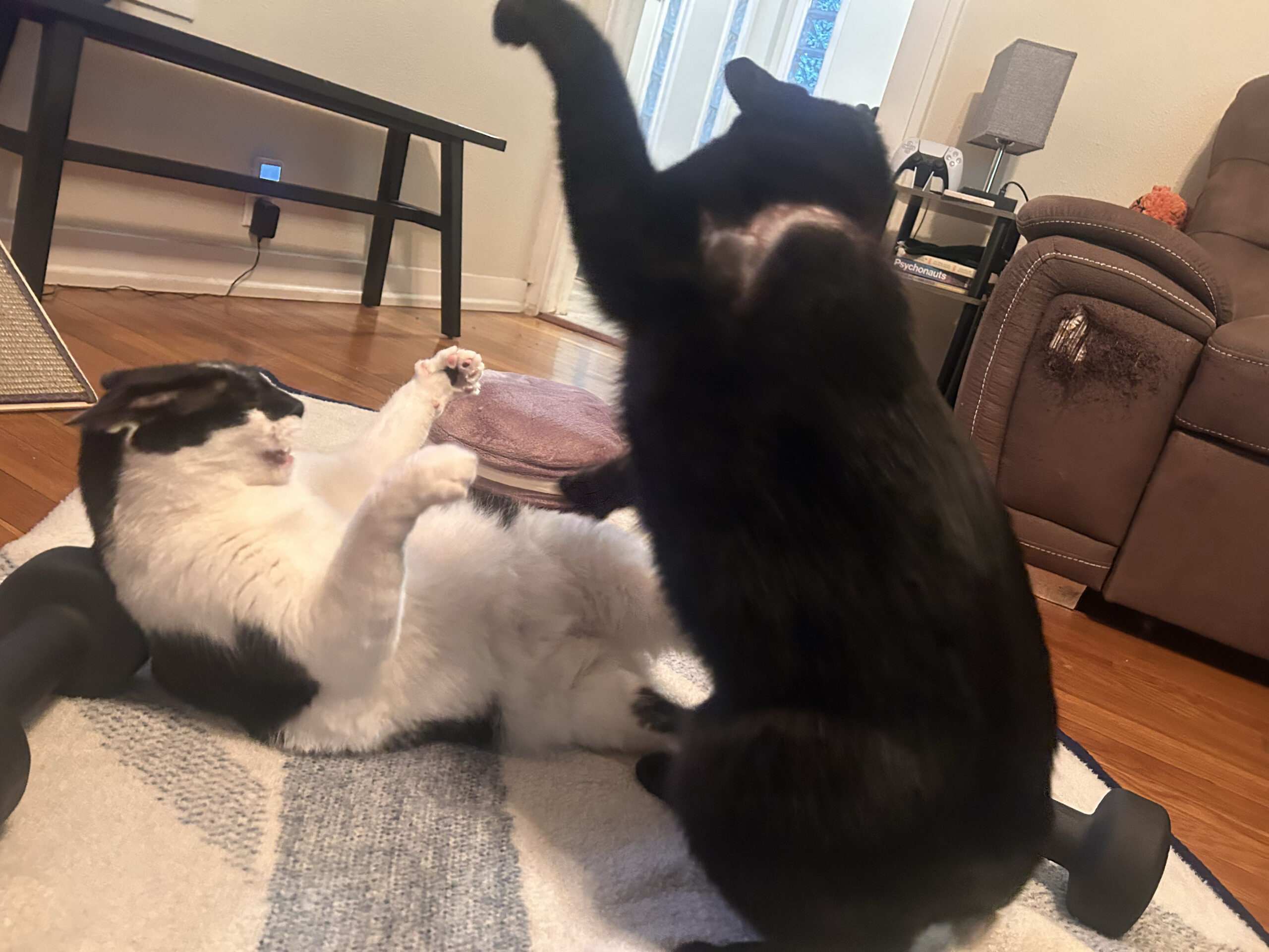 Throw Down